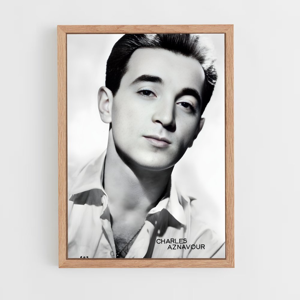 ap-charles aznavour-3 cadre Bois clair