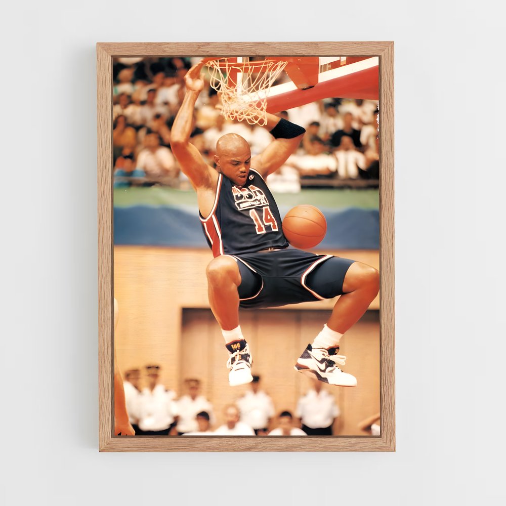 ap-charles barkley-7 cadre Bois clair