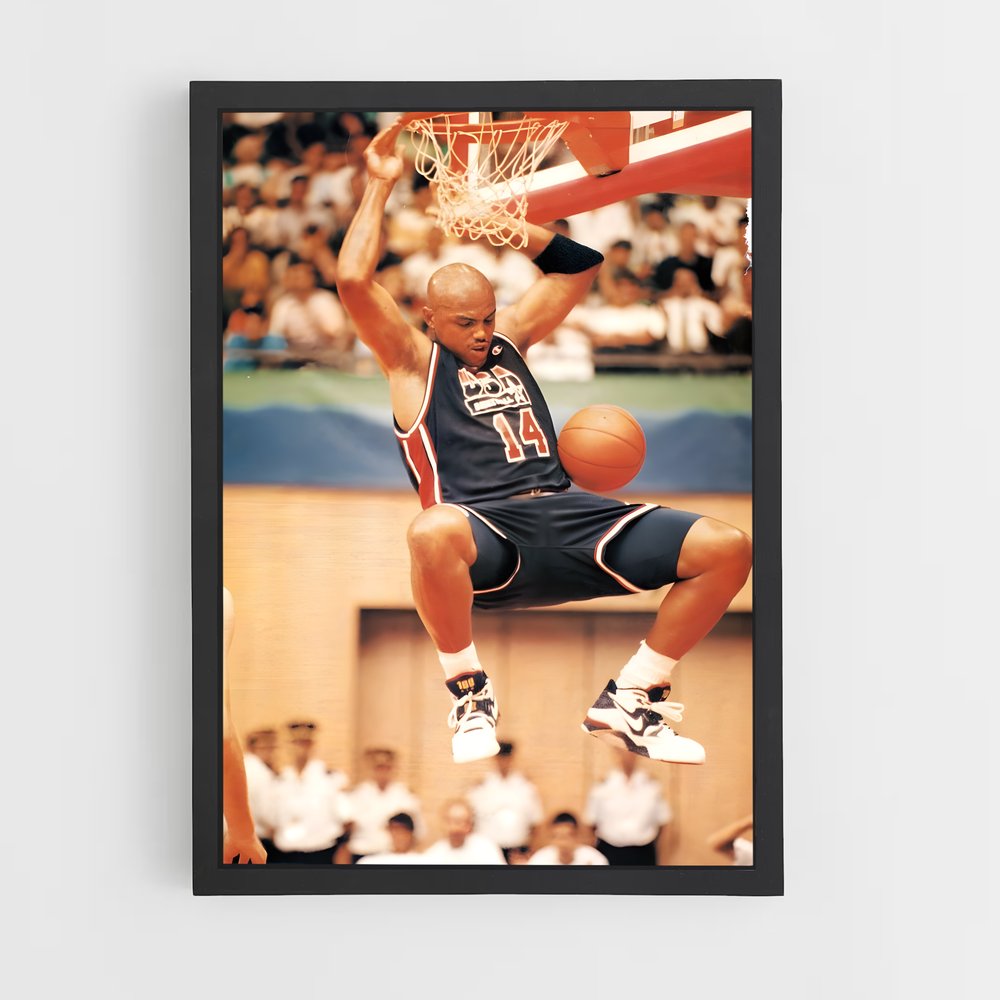 ap-charles barkley-7 cadre Noir