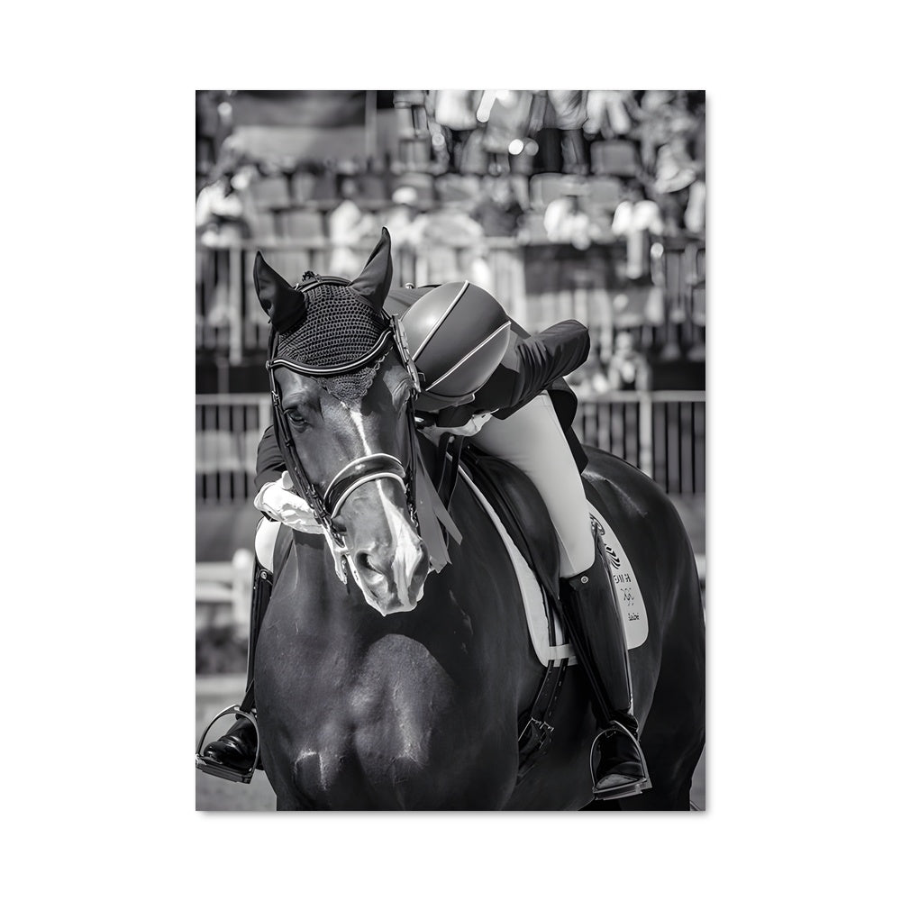 Poster Charlotte dujardin 67290