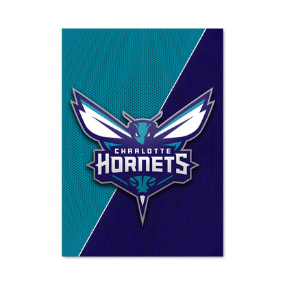 Poster Duel des Hornets