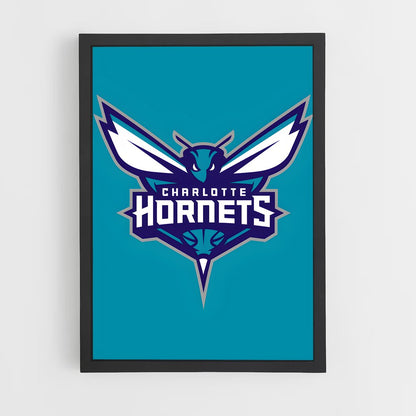 ap-charlotte hornets-1 cadre Noir