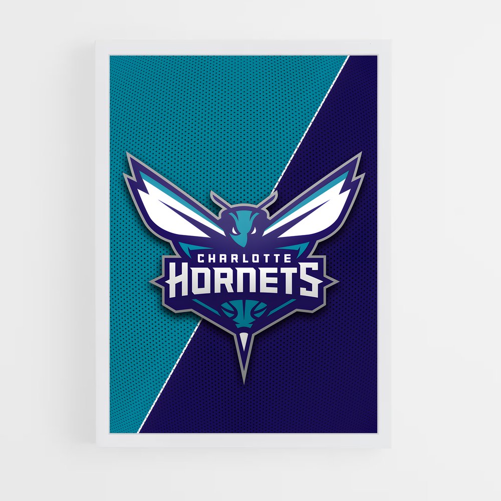 ap-charlotte hornets-2 cadre Blanc