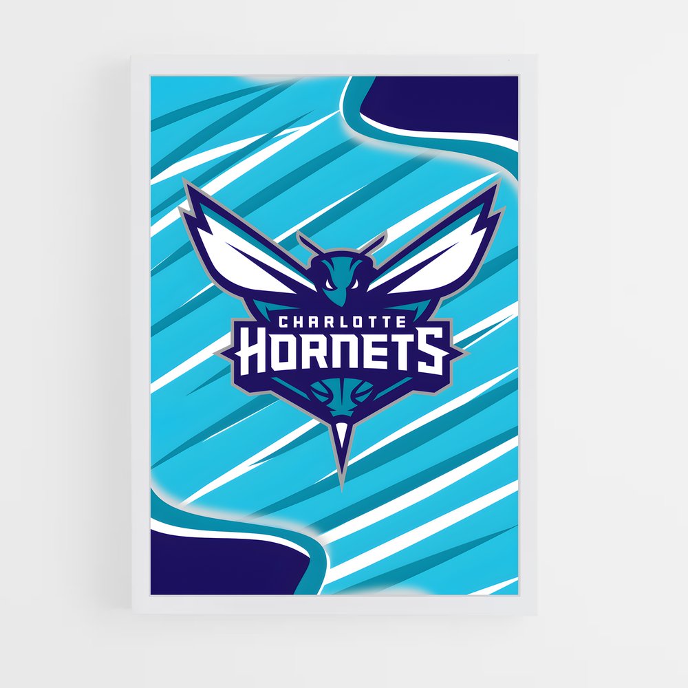 ap-charlotte hornets-3 cadre Blanc
