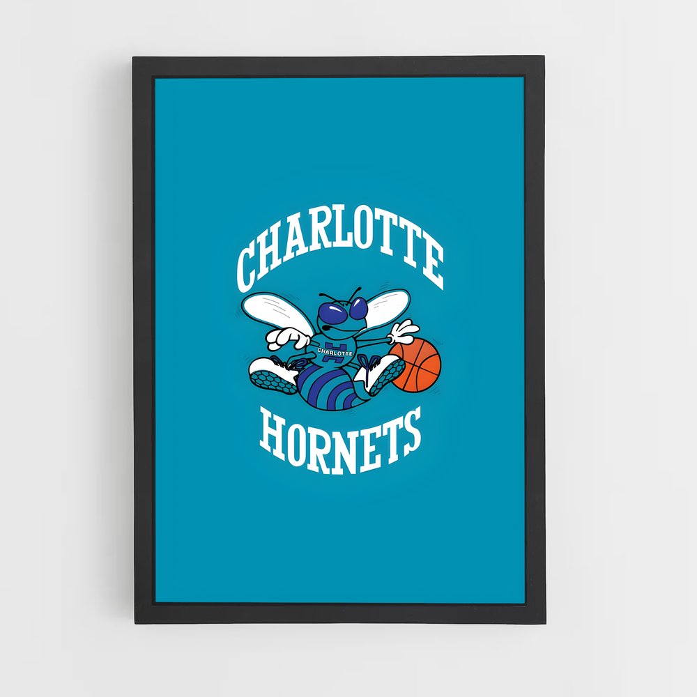 ap-charlotte hornets-7 cadre Noir