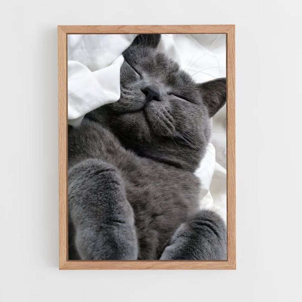 ap-chartreux-2 cadre Bois clair