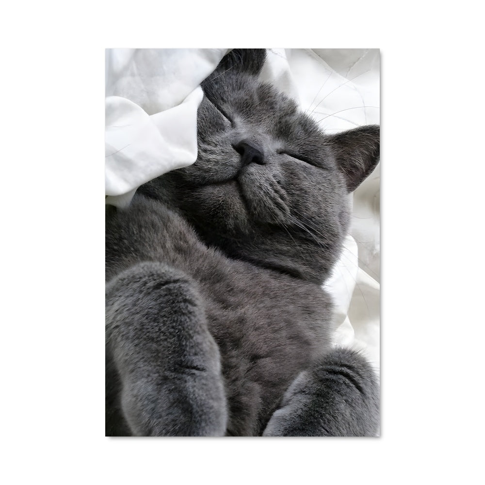 Poster Douce Nuit Chartreuse