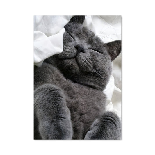 Poster Douce Nuit Chartreuse