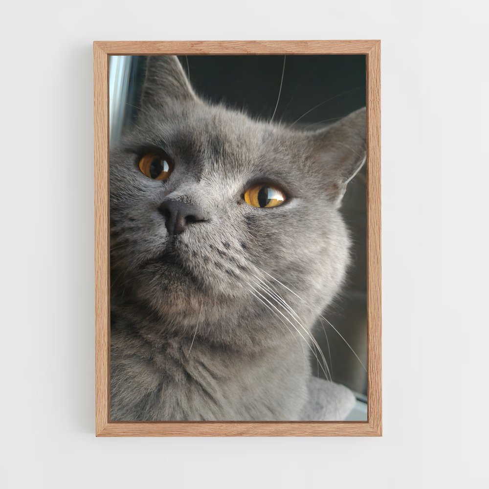 ap-chartreux-5 cadre Bois clair