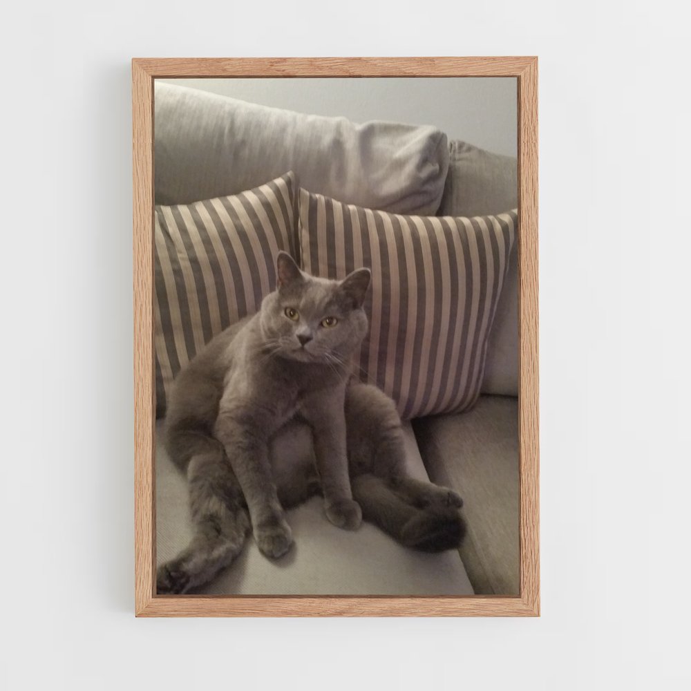 ap-chartreux-7 cadre Bois clair