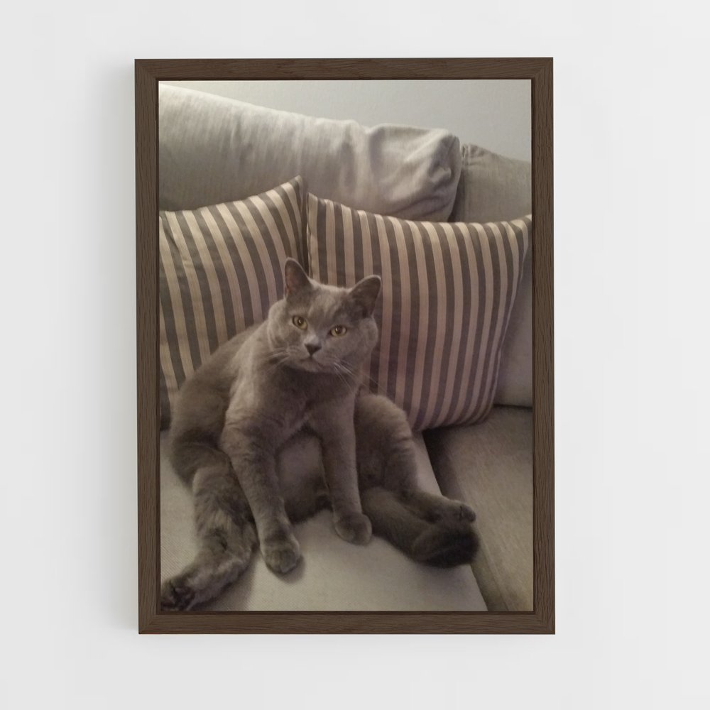 ap-chartreux-7 cadre Bois foncé