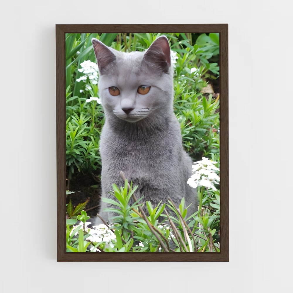 ap-chartreux-8 cadre Bois foncé