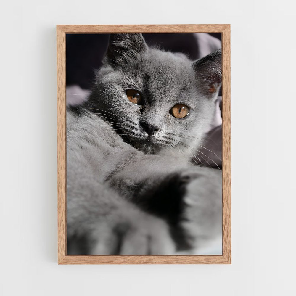 ap-chartreux-9 cadre Bois clair