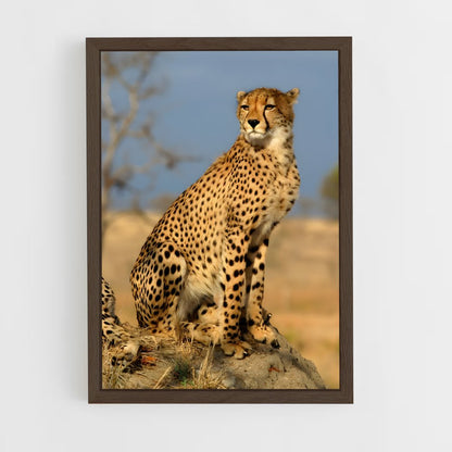 ap-cheetah-3 cadre Bois foncé