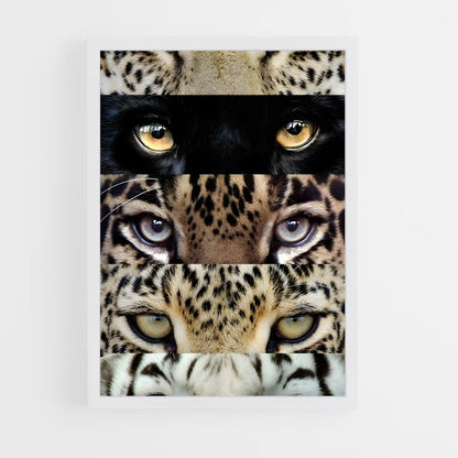 ap-cheetah-5 cadre Blanc