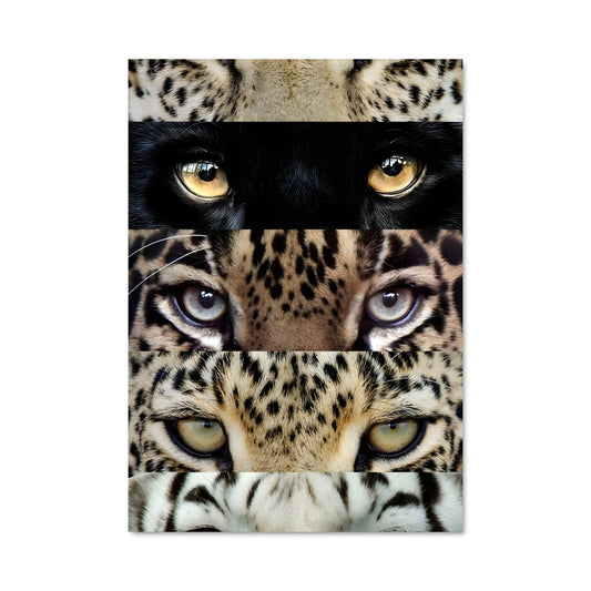 Poster Regards de Léopard