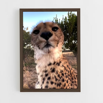 ap-cheetah-7 cadre Bois foncé