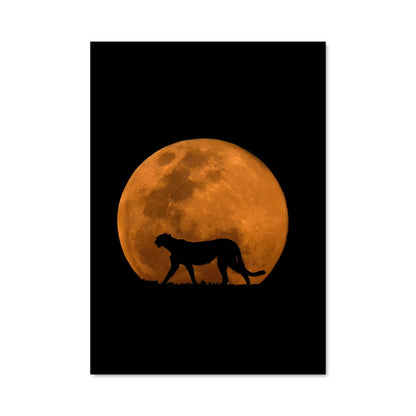 Poster Cheetah 83336