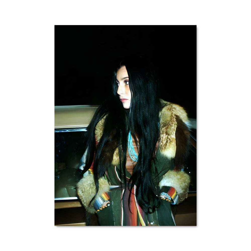 Poster Cher 50990