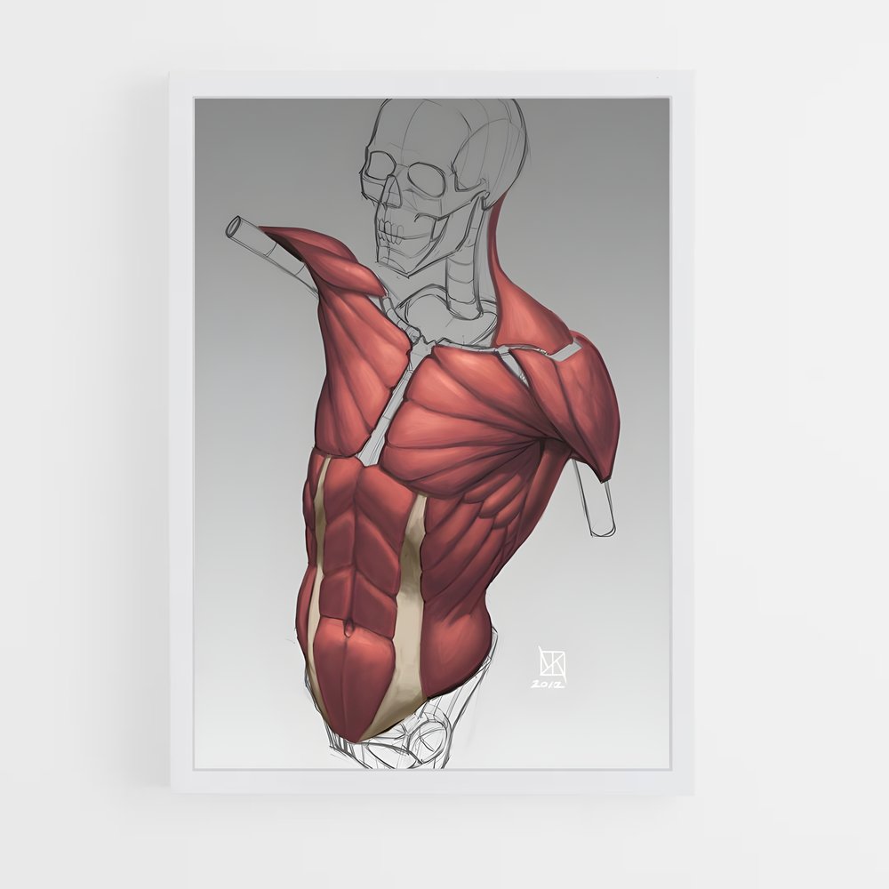 ap-chest-2 cadre Blanc
