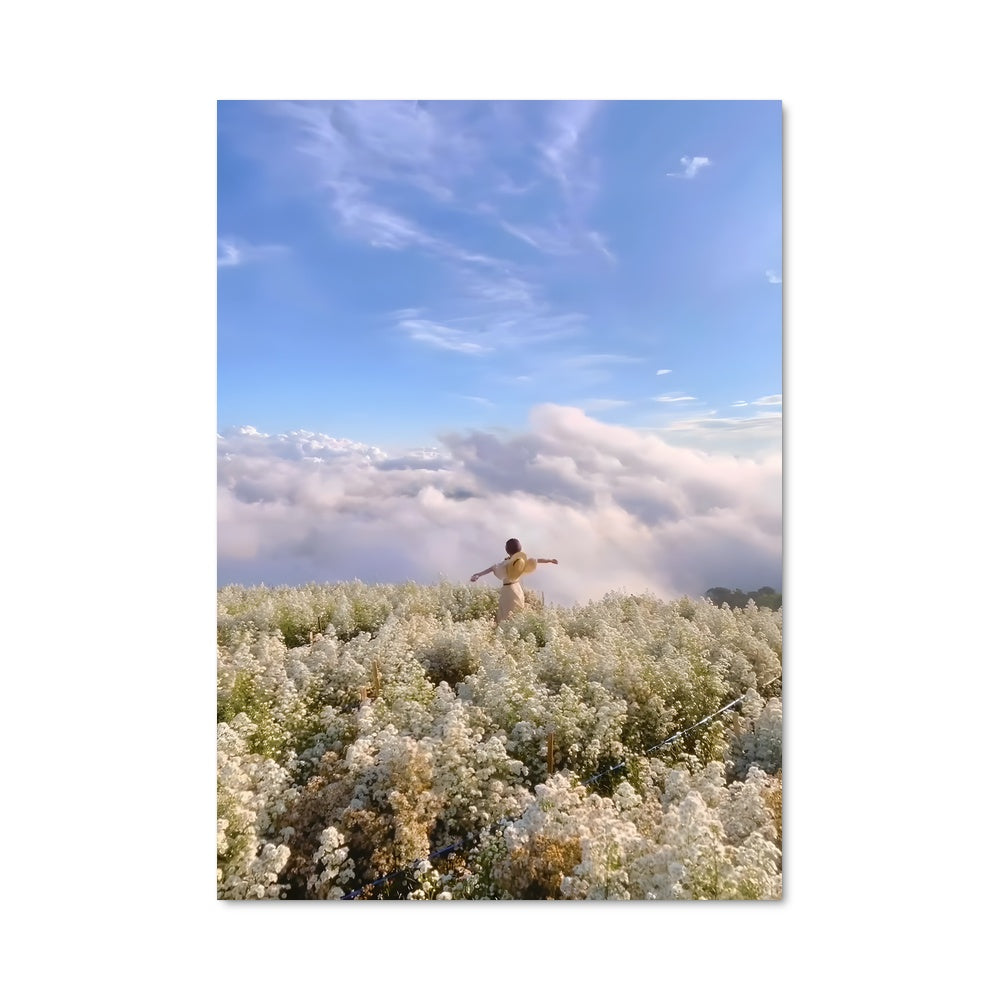 Poster Sommet Florissant