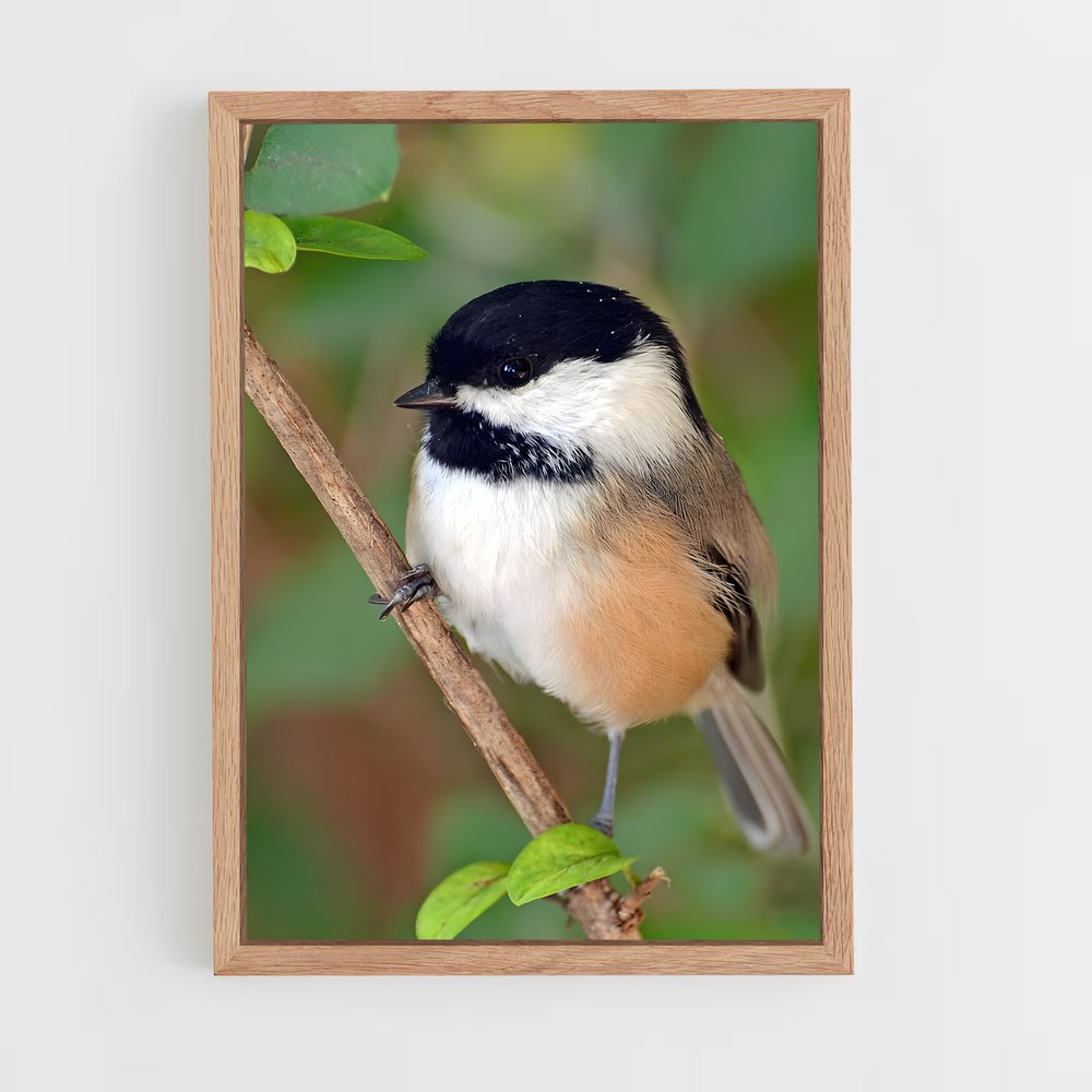 ap-chickadee-1 cadre Bois clair