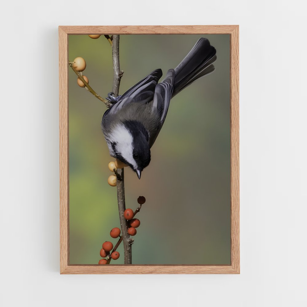 ap-chickadee-2 cadre Bois clair