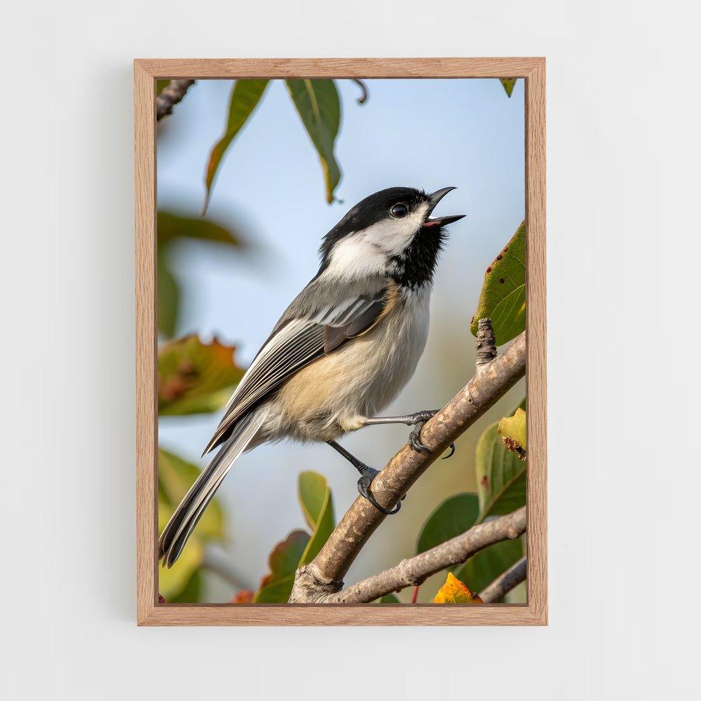 ap-chickadee-3 cadre Bois clair