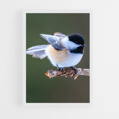 ap-chickadee-5 cadre Blanc