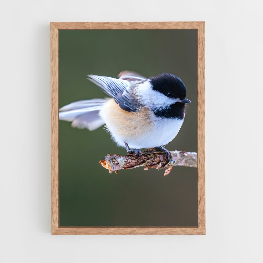 ap-chickadee-5 cadre Bois clair