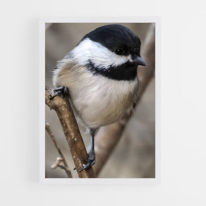 ap-chickadee-6 cadre Blanc