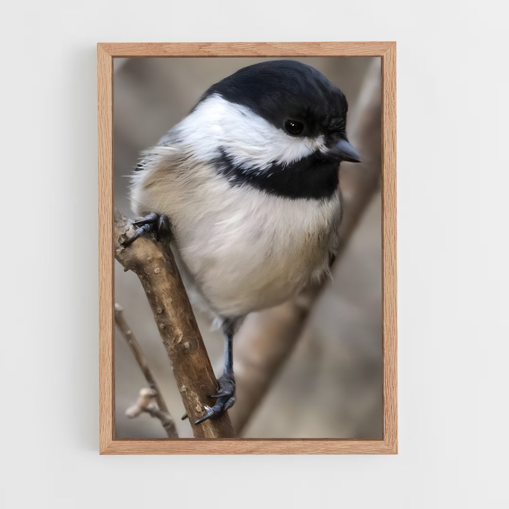 ap-chickadee-6 cadre Bois clair