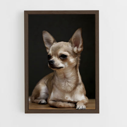 ap-chihuahua-2 cadre Bois foncé