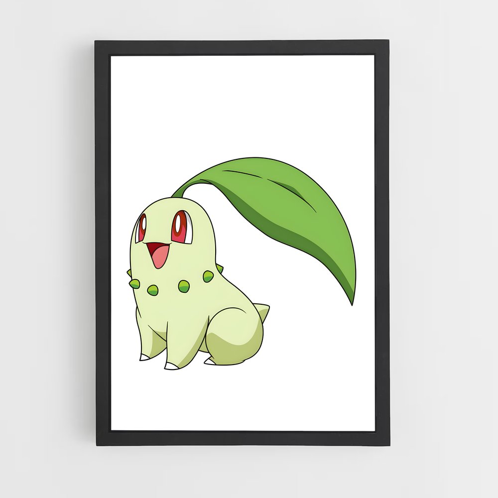 ap-chikorita-1 cadre Noir