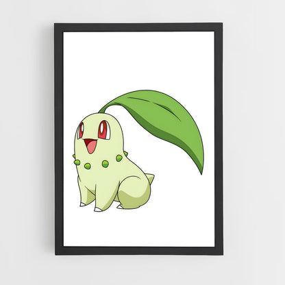 ap-chikorita-1 cadre Noir