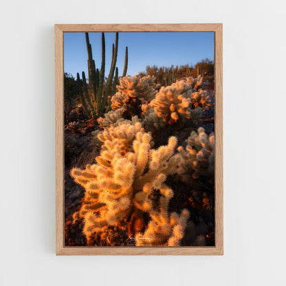 ap-cholla-3 cadre Bois clair