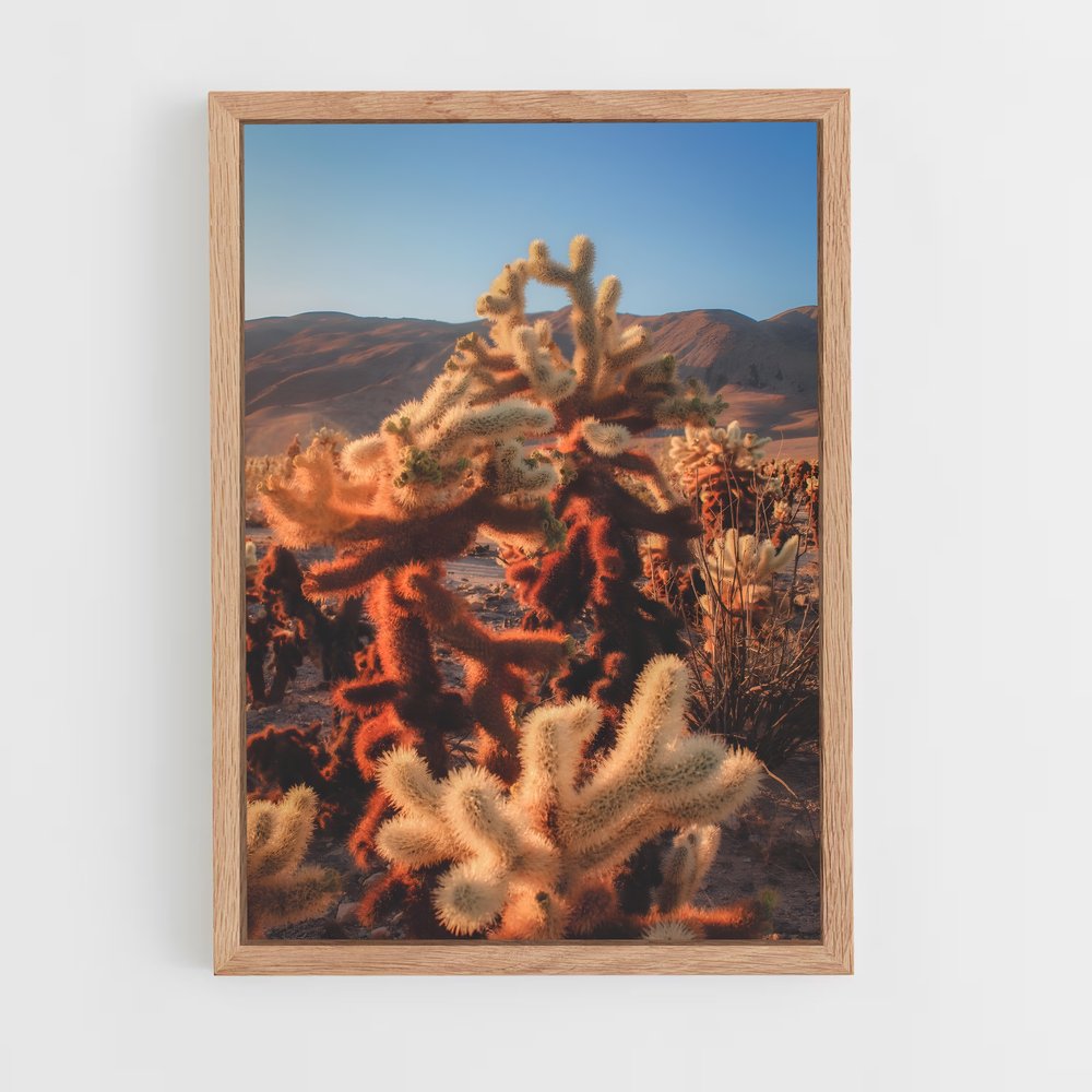 ap-cholla-4 cadre Bois clair