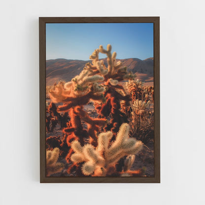 ap-cholla-4 cadre Bois foncé