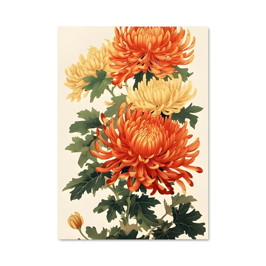 Poster Chrysanthemum Éclat