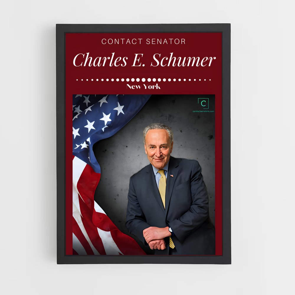 ap-chuck schumer-2 cadre Noir