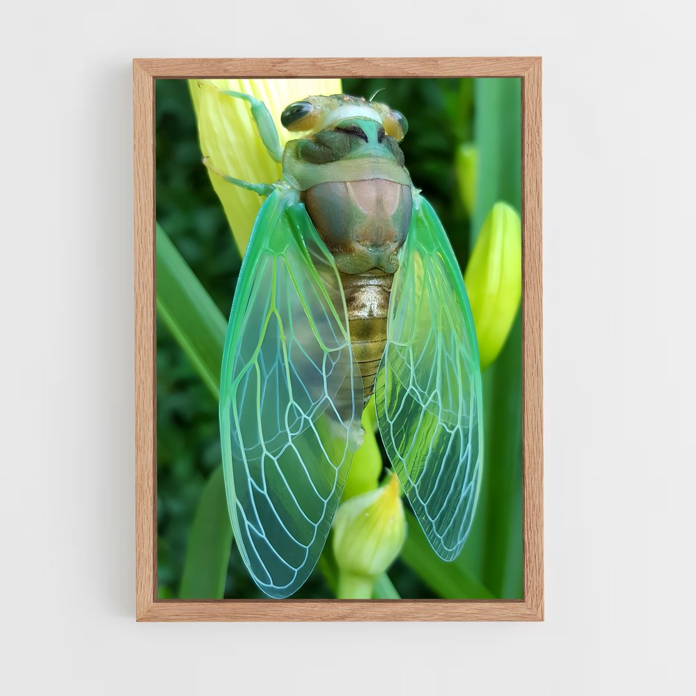 ap-cicada-1 cadre Bois clair