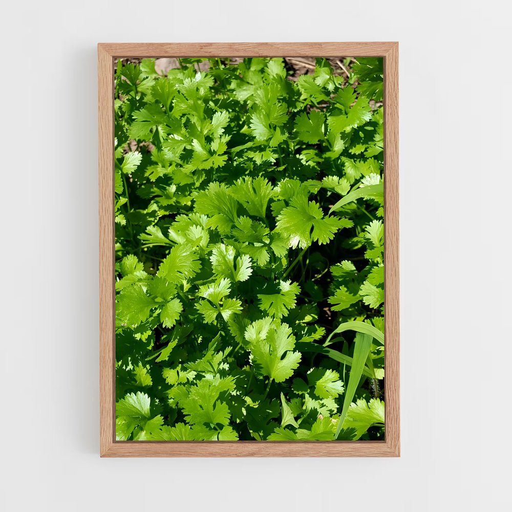 ap-cilantro-3 cadre Bois clair