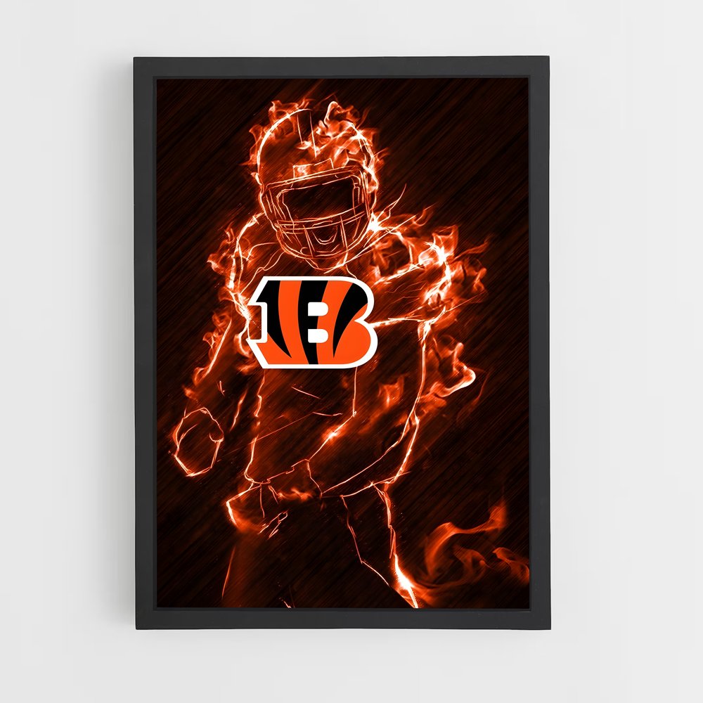 ap-cincinnati bengals-1 cadre Noir