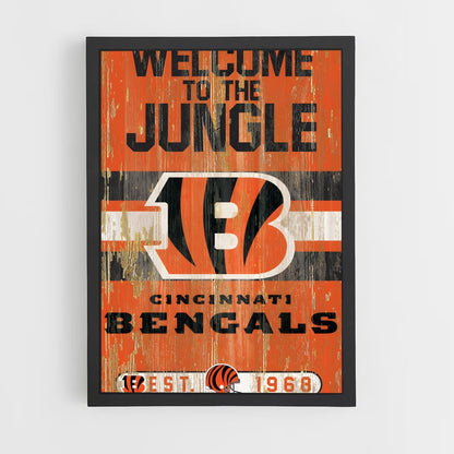 ap-cincinnati bengals-6 cadre Noir