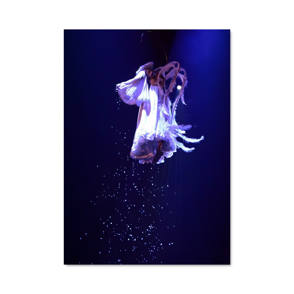 Poster Cirque du soleil 67025