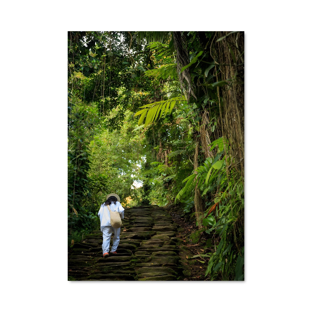 Poster L'Escalade Mystérieuse