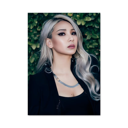 Poster Cl 53250