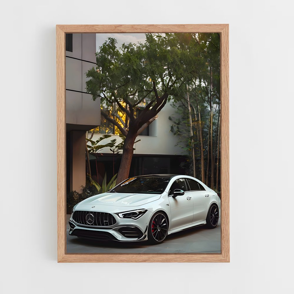 ap-cla 45 amg-3 cadre Bois clair