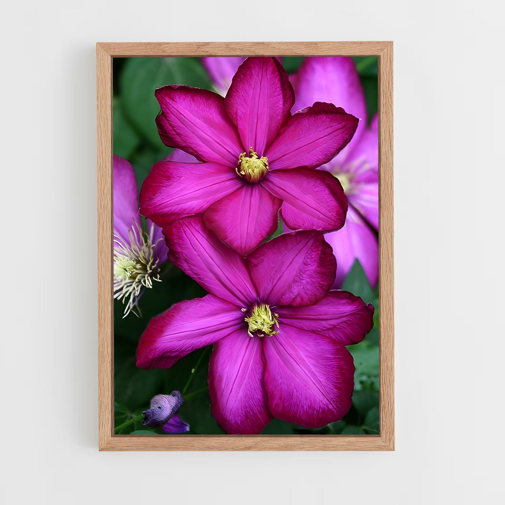 ap-clematis-11 cadre Bois clair