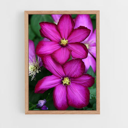 ap-clematis-11 cadre Bois clair